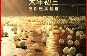 中国乒乓之绝地反击超清1080p完整版下载分享