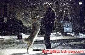 电影【忠犬八公的故事】高清免费在线观看